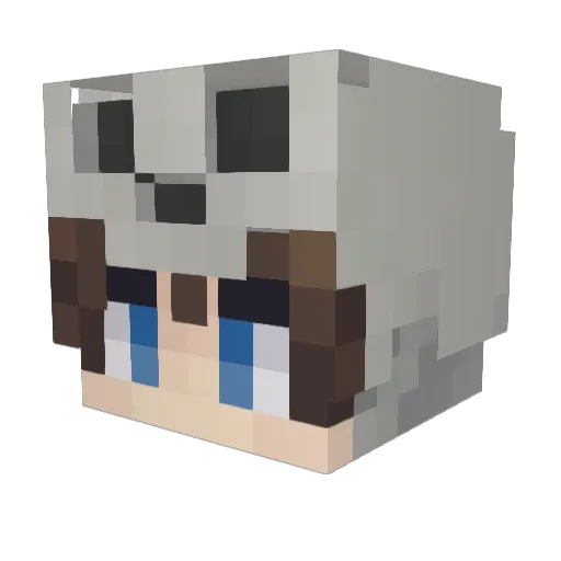 Vision1615 Minecraft avatar head, 3D render