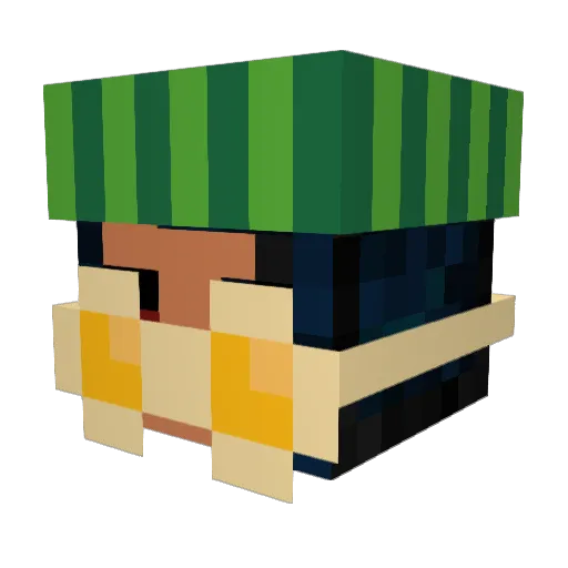 VisionClinic Minecraft avatar head, 3D render