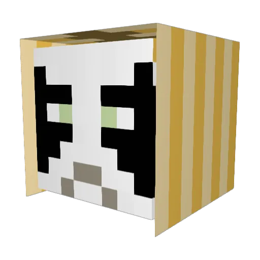 VisionGamer15 Minecraft avatar head, 3D render