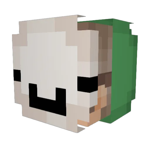 VisionXpertsTTV Minecraft avatar head, 3D render