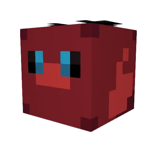 Visionary_13 Minecraft avatar head, 3D render