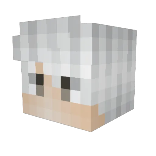 Visioneery Minecraft avatar head, 3D render
