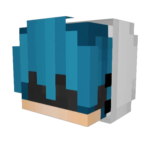 VisionsBurn Minecraft avatar head, 3D render