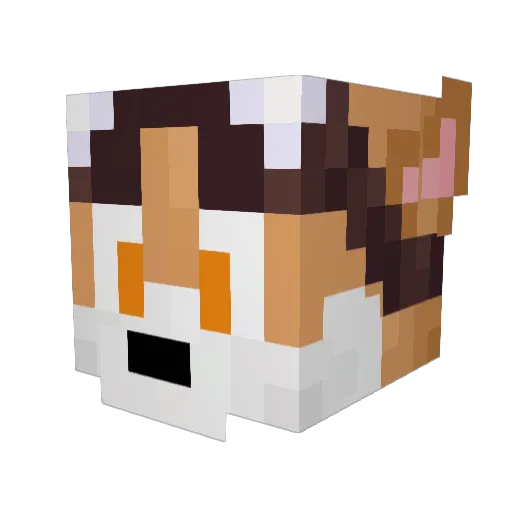 VislaCorp Minecraft avatar head, 3D render