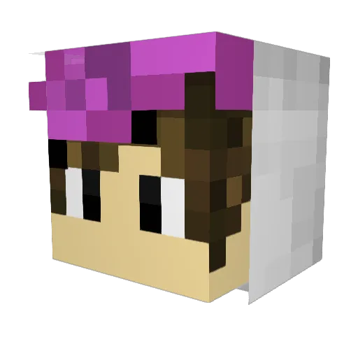 Visniakk Minecraft avatar head, 3D render