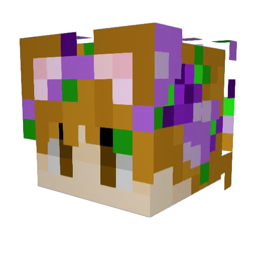 Visrey Minecraft avatar head, 3D render