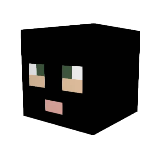 Vission212 Minecraft avatar head, 3D render