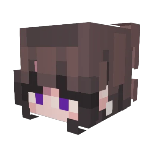 Vistorisk Minecraft avatar head, 3D render