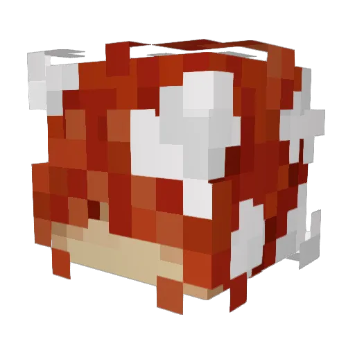 Vistsity Minecraft avatar head, 3D render