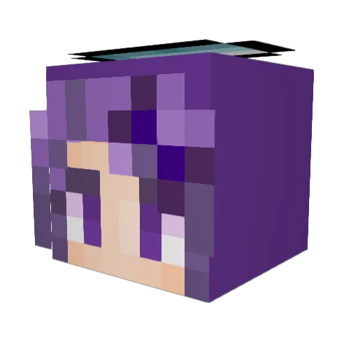 VisualFan327 Minecraft avatar head, 3D render