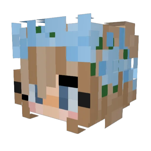 Visual_Void Minecraft avatar head, 3D render