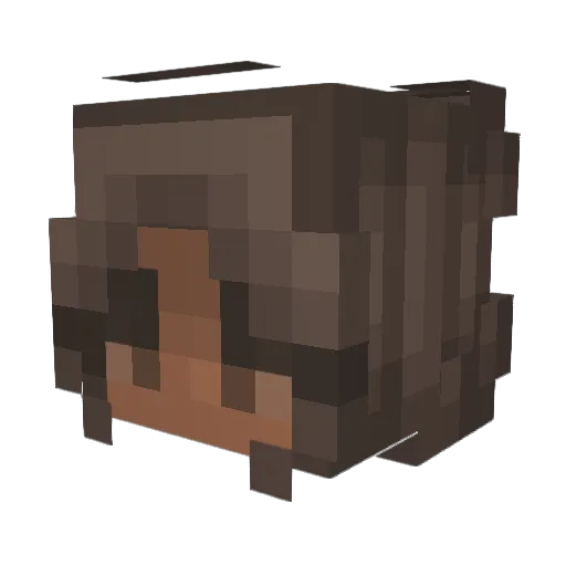 Visualeve Minecraft avatar head, 3D render