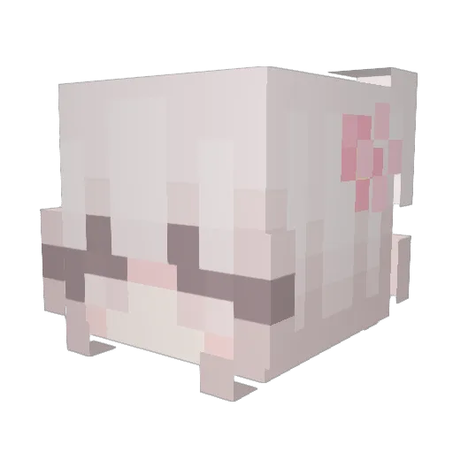 Visualising Minecraft avatar head, 3D render