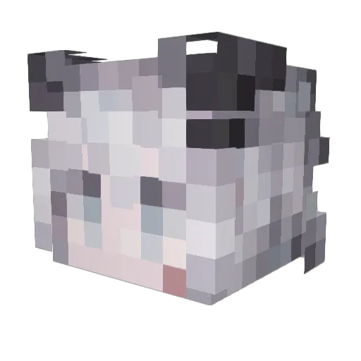 Vita__ Minecraft avatar head, 3D render