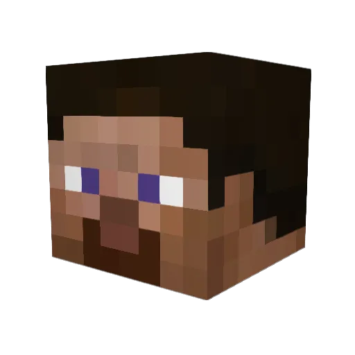 VitaminKid Minecraft avatar head, 3D render