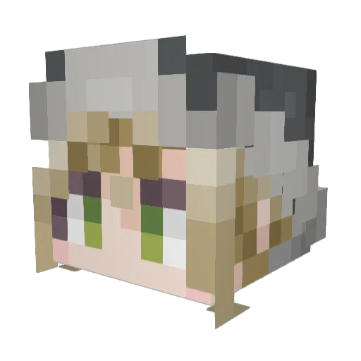 Vitaminlesss Minecraft avatar head, 3D render