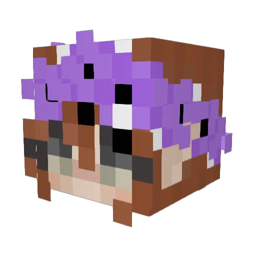 Vitazzzz Minecraft avatar head, 3D render