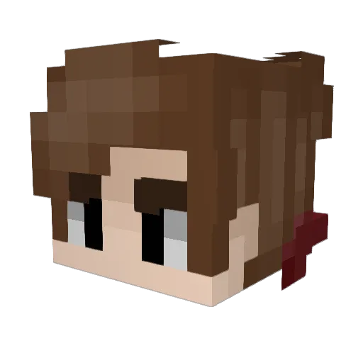 Vitek520 Minecraft avatar head, 3D render
