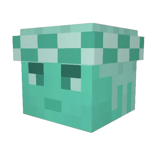 Vitellatonnata Minecraft avatar head, 3D render