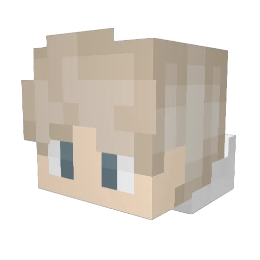 Vitenark Minecraft avatar head, 3D render