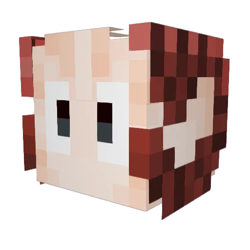 Vitencii Minecraft avatar head, 3D render