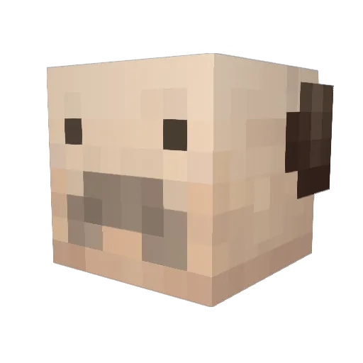 Vitenskpsmann Minecraft avatar head, 3D render