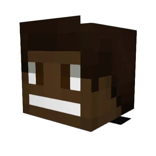 Vitex404 Minecraft avatar head, 3D render