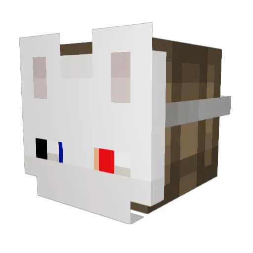 Vitiers Minecraft avatar head, 3D render