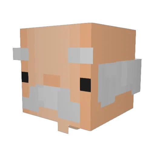Vitin09_ Minecraft avatar head, 3D render