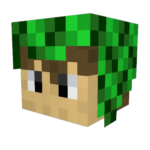 Vitinho_tw Minecraft avatar head, 3D render