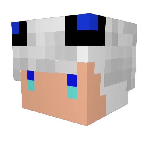 Vito1225 Minecraft avatar head, 3D render