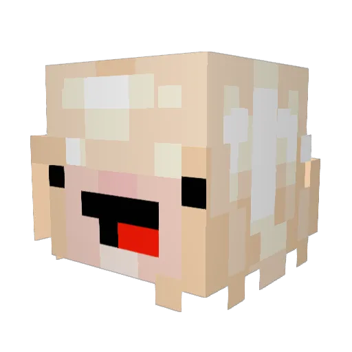 Vitochklibbit Minecraft avatar head, 3D render