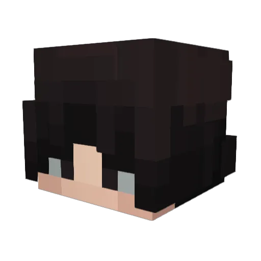 Vitocreeper Minecraft avatar head, 3D render