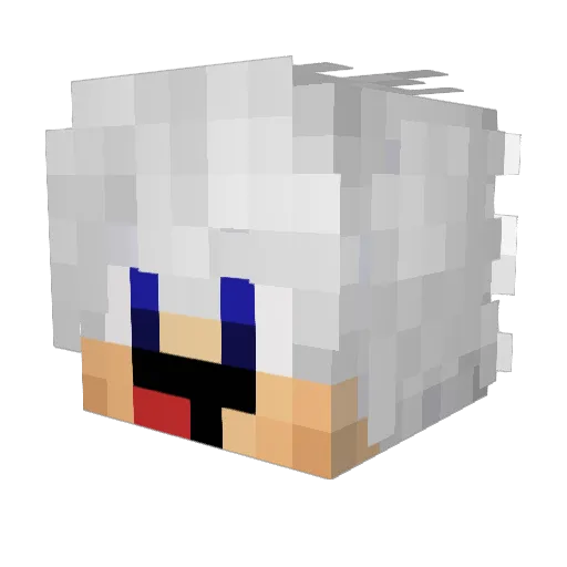 Vitor09415 Minecraft avatar head, 3D render