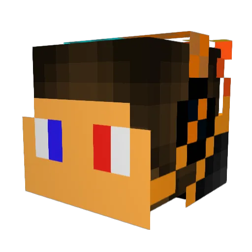 Vitor16nj Minecraft avatar head, 3D render