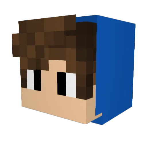 VitorGatito Minecraft avatar head, 3D render