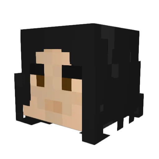 VitorOnTheDrums Minecraft avatar head, 3D render