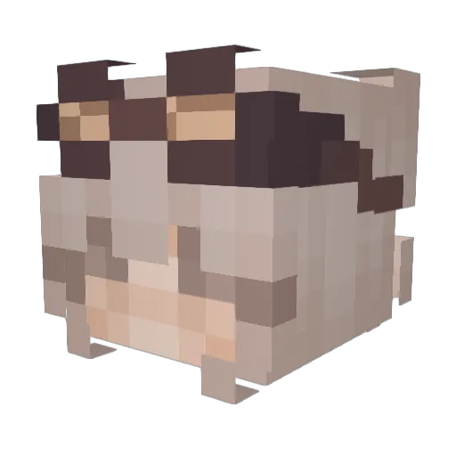 VitoriaHumilde Minecraft avatar head, 3D render