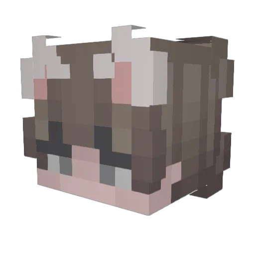 Vitorlas Minecraft avatar head, 3D render