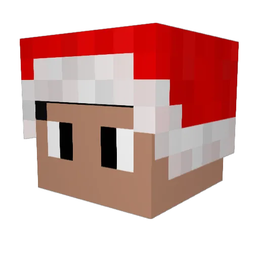 Vitorlrocha Minecraft avatar head, 3D render