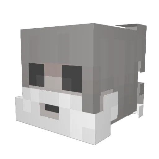 Vitru Minecraft avatar head, 3D render