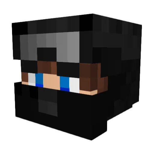 Vitruv_ Minecraft avatar head, 3D render