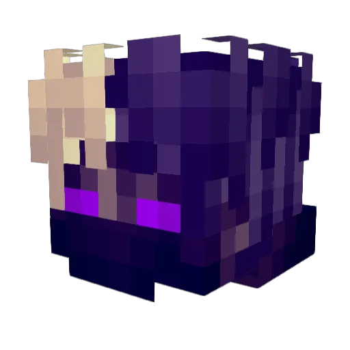 Vitrysis Minecraft avatar head, 3D render