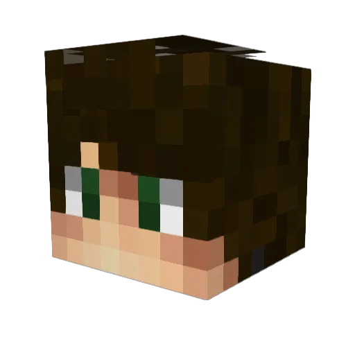 Vitsss Minecraft avatar head, 3D render