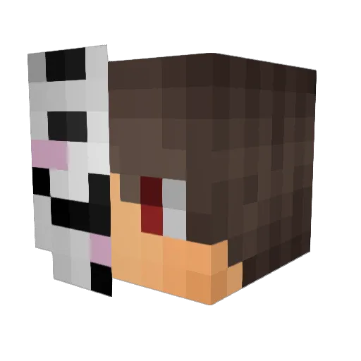 Vitus_yeetus Minecraft avatar head, 3D render