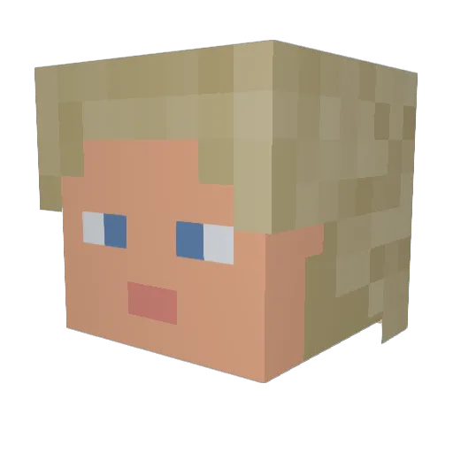 VivaLaDoctor Minecraft avatar head, 3D render