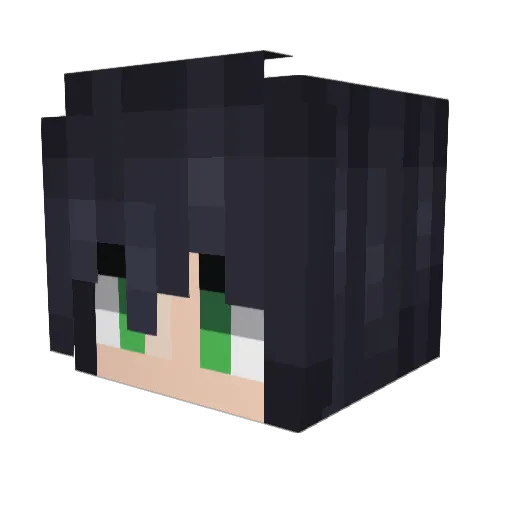 VivaStreet Minecraft avatar head, 3D render