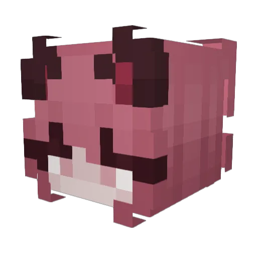 VivaViuu Minecraft avatar head, 3D render