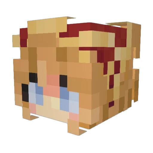 Vivaisous Minecraft avatar head, 3D render
