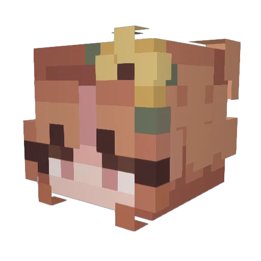 Vivi2301 Minecraft avatar head, 3D render